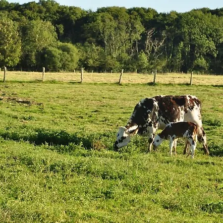 Σπίτι διακοπών Longere Normande *